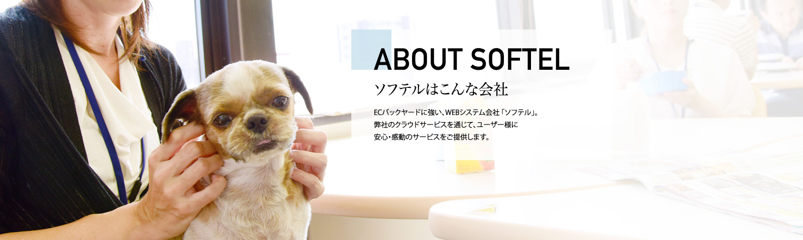 ABOUT SOFTEL　ソフテルはこんな会社