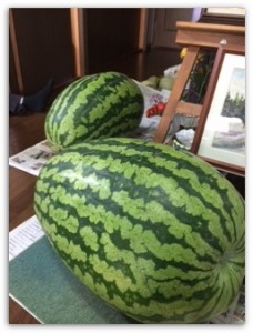 suica2