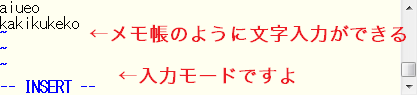 viエディタ　入力中