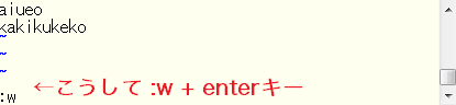 viエディタ　保存する