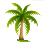 palm-tree-md