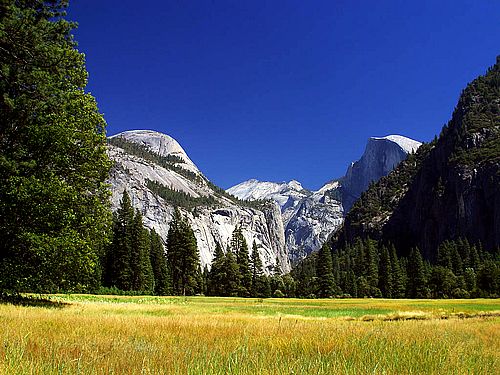 yosemite-meadows
