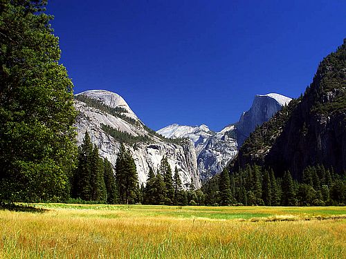 yosemite-meadows