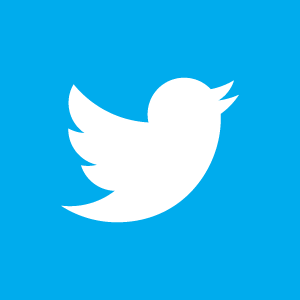 twitter-bird-white-on-blue upload with media