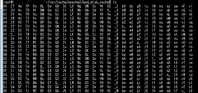 mod_disk_cache