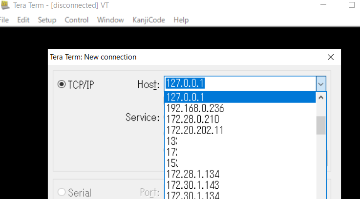 teraterm host history